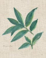 Bay Leaf on Burlap #56973 Bay Leaf on Burlap #56973