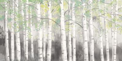 Soft Birches Charcoal #57004