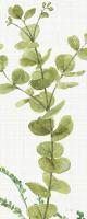 Mixed Greens LX v2 #57007 Mixed Greens LX v2 #57007