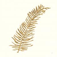 Gilded Fern I #57195