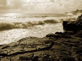 Pahoa Sea #57276 Pahoa Sea #57276