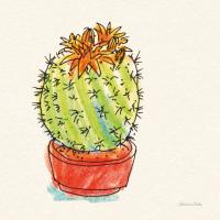 Cacti Garden II #57355 Cacti Garden II #57355