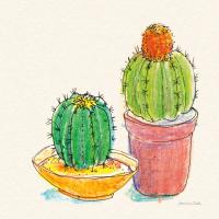 Cacti Garden III #57356