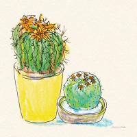 Cacti Garden IV #57357 Cacti Garden IV #57357