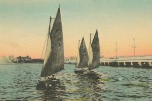 Florida Postcard I #57478 Florida Postcard I #57478