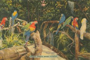 Florida Postcard II #57479 Florida Postcard II #57479