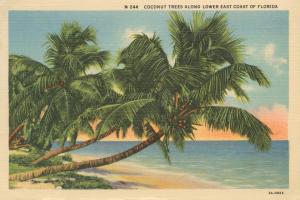 Florida Postcard III #57480 Florida Postcard III #57480