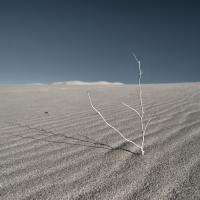 Sand Dunes I #57668