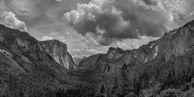 Scenic Landscape III BW #57815 Scenic Landscape III BW #57815