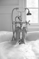 Bubble Bath II #57992 Bubble Bath II #57992