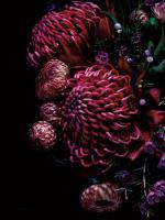 Waratah Bouquet #58052