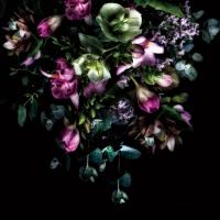 Hellebores Bouquet #58075 Hellebores Bouquet #58075