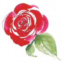 Bold Roses III #58113
