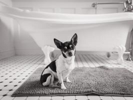 Bath Time #58222 Bath Time #58222