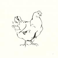 Line Chicken I #58321 Line Chicken I #58321