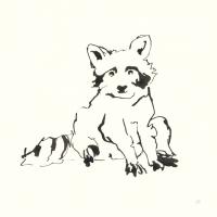 Line Raccoon #58329 Line Raccoon #58329