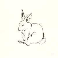 Line Bunny II #58332