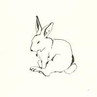 Line Bunny II #58332 Line Bunny II #58332