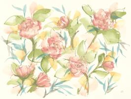 Blush Camellias #58344