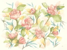 Blush Camellias #58344 Blush Camellias #58344