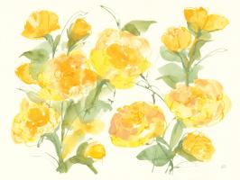 Sunshine Peonies #58347 Sunshine Peonies #58347