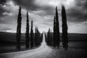 Travelling in Tuscany #58641 Travelling in Tuscany #58641