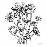 Wild Flowers Line I #58631 Wild Flowers Line I #58631