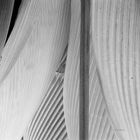 Leaf Abstract IV #58866 Leaf Abstract IV #58866