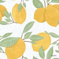 Fruity Cocktails Pattern II #58893 Fruity Cocktails Pattern II #58893