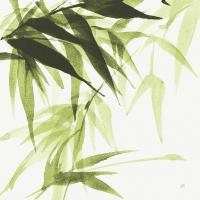 Bamboo IV Green #58946