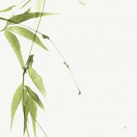 Bamboo V Green #58947