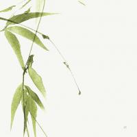 Bamboo V Green #58947 Bamboo V Green #58947