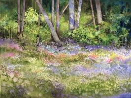 Springtime Woods #59225 Springtime Woods #59225