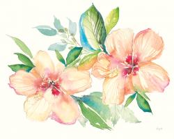 Pastel Garden Hibiscus #59879 Pastel Garden Hibiscus #59879
