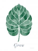 Botanic Inspiration III #60067 Botanic Inspiration III #60067