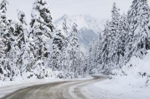 Mount Baker Highway I #60619