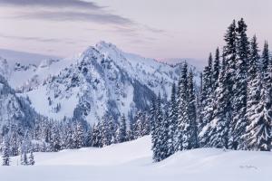 Tatoosh Range #60626