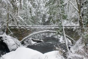 Whatcom Creek Bridge #60628 Whatcom Creek Bridge #60628