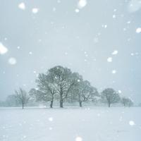 Winter Landscape I #60919