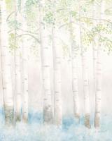 Soft Birches III #61033