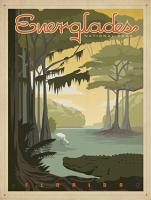 VINTAGE FLORIDA EVERGLADES ALIGATOR USA #JOEAND 116278 VINTAGE FLORIDA EVERGLADES ALIGATOR USA #JOEAND 116278