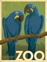 Zoo vintage cockatoo birds #JOEAND116848 Zoo vintage cockatoo birds #JOEAND116848