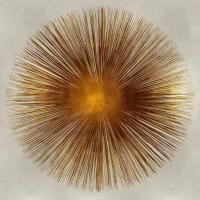 Bronze Sunburst I #AY112546