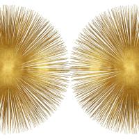 Sunburst II #AY112549 Sunburst II #AY112549