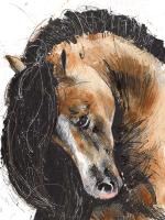 Brown Horse 2 #98466 Brown Horse 2 #98466