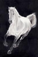White Horse #98534 White Horse #98534