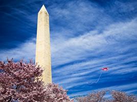 Washington Monument with Kite and Cherry Blossoms #82493