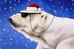 Cool Yule #72054 Cool Yule #72054