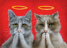 Holy Cats #72070 Holy Cats #72070