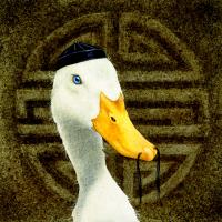 Peking Duck #72091